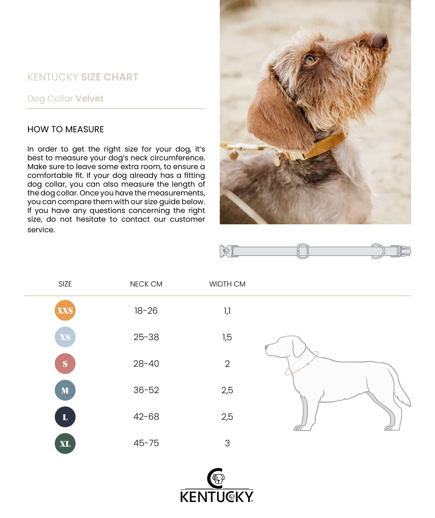 Grössentabelle Kentucky Hundehalsband Velvet