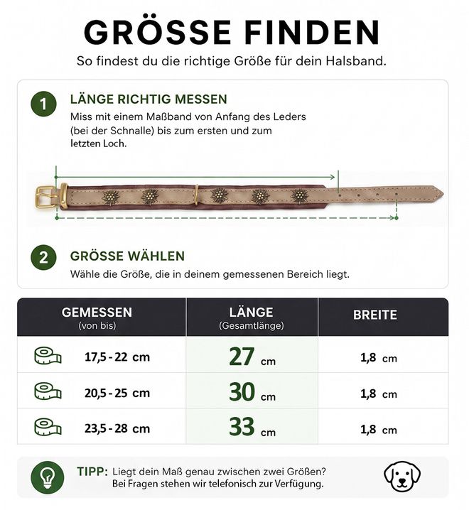 Maul Lederwaren_Halsband Mini Dackel